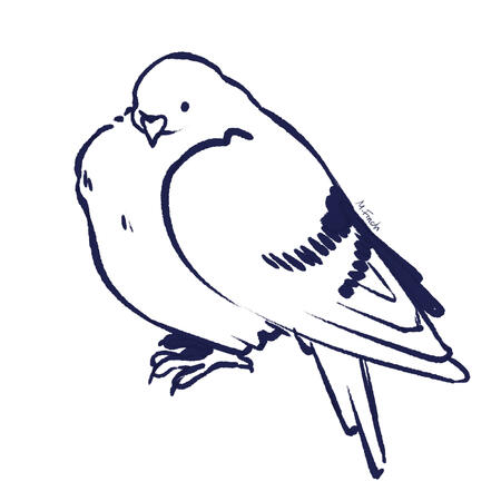 Doodles