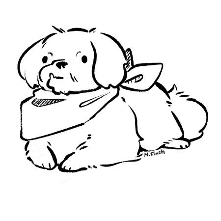 Doodles